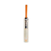 GM Epic Striker Cricket Bat,  Short Handle  Kashmir Willow 