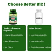 7 - Vlado's Himalayan Organics Methylcobalamin Vitamin B12 500mcg,  60 tablet(s)  Unflavoured 