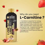 5 - Vlado's Himalayan Organics L-Carnitine Liquid 3000mg,  450 ml  Strawberry Kiwi 
