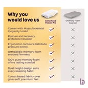 8 - Betterhood Contour Cervical Pillow,  Medium  White (Pack of 2) 