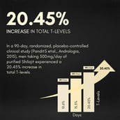 5 - Rasayanam Shilajit Gold Resin, 20 g