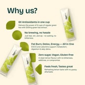 3 - myDaily 6x Green Tea,  25 sachets/pack  Lemon 