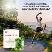 5 - Vitaminhaat Amalaki Amla Natural Vitamin C,  90 capsules 