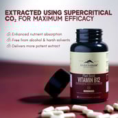 6 - Rasayanam Plant Based Vitamin B12,  120 capsules  Unflavoured 