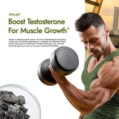 3 - Kapiva Him Foods Testofuel Shilajit Whey Protein, 4.4 lb Cookies & Cream