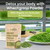 4 - Vlado's Himalayan Organics Organic Wheatgrass Powder,  100 g 