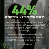 5 - Kaged Muscle Outlive 100,  1.12 lb  Apple Cinnamon 