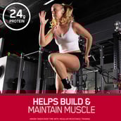 9 - ON (Optimum Nutrition) Gold Standard 100% Whey Protein,  2 lb  Rocky Road 