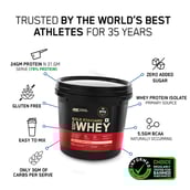 2 - ON (Optimum Nutrition) Gold Standard 100% Whey Protein,  8.8 lb  Vanilla Ice Cream 