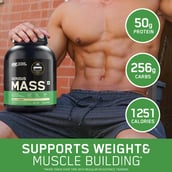 5 - ON (Optimum Nutrition) Serious Mass,  11 lb  Vanilla 