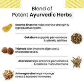 5 - Nirvasa Shilajit Gold,  120 capsules 