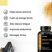 3 - Nirvasa Shilajit Gold,  120 capsules 