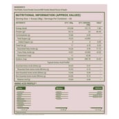 TrueBasics Clean Plant Protein 2.2 lb Chocolate & Steel Pro Shaker 700 ml Combo