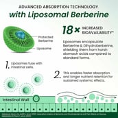 3 - Vlado's Himalayan Organics Liposomal Berberine HCL+,  60 tablet(s) 