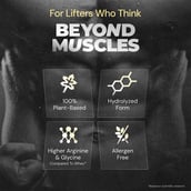 4 - Nutrabay Gold Pea Protein,  4.4 lb  Cold Coffee 