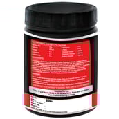 supplementinfo - Endura BCAA with Glutamine,  0.66 lb  Orange 