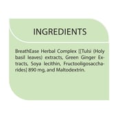 3 - BIOSAP BreathEase,  Tulsi - Ginger  25 Stick(s) 