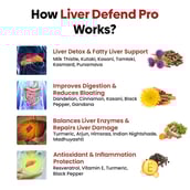 3 - Muditam Liver Defend Pro (Pack of 6), 60 tablet(s)
