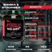 6 - Muscle Performance Anabolic Mass Gainer,  5.5 lb  Rabri Kulfi 