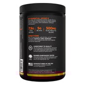 2 - Rule One Essential Amino9,  0.76 lb  30 Servings  Sour Watermelon 