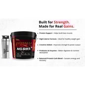 2 - Muscle Performance Anabolic Mass Gainer,  11 lb  Irish Chocolate with Steel Shaker 