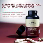 3 - Rasayanam Vitamin D3 K2 (MK-7) 120 Tablets & Plant Based Vitamin B12 Combo,  60 capsules  Unflavoured 