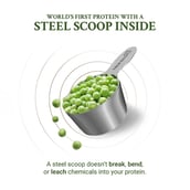 6 - TrueBasics Clean Plant Protein, 2.2 lb Chocolate