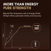 5 - Rasayanam Pure Himalayan Shilajit,  20 g 