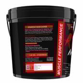 2 - Muscle Performance Anabolic Mass Gainer,  11 lb  Belgium Chocolate 