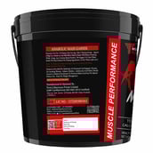 3 - Muscle Performance Anabolic Mass Gainer,  11 lb  Rabri Kulfi 