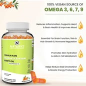 4 - Naturyz Himalayan Sea Buckthorn Berry Oil, 60 capsules