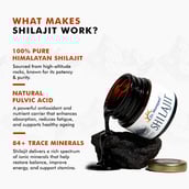 4 - Dr. Morepen Shilajit Resin Form,  15 g 