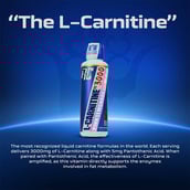 1 - Ronnie Coleman L-Carnitine XS 3000 mg Liquid,  465 ml  Pink Lemonade
