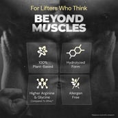 5 - Nutrabay Gold Pea Protein,  1.1 lb  Cold Coffee 