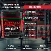 5 - Muscle Performance Anabolic Mass Gainer with Creatine Monohydrate 0.66 lbs & Gym Bag Combo, 11 lb Creamy Vanilla