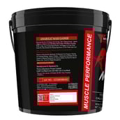 2 - Muscle Performance Anabolic Mass Gainer with Creatine Monohydrate 0.66 lbs & Gym Bag Combo, 11 lb Irish Chocolate