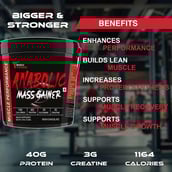 5 - Muscle Performance Anabolic Mass Gainer with Creatine Monohydrate 0.66 lbs & Gym Bag Combo, 11 lb Irish Chocolate