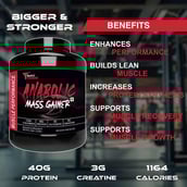 4 - Muscle Performance Anabolic Mass Gainer with Creatine Monohydrate 0.66 lbs & Gym Bag Combo, 5.5 lb Belgium Chocolate