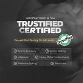 Nutrabay Gold Pea Protein,  0.09 lb  Cold Coffee (Single Serve) 