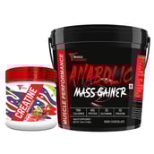 1 - Muscle Performance Anabolic Mass Gainer with Creatine Monohydrate 0.66 lbs Combo, 11 lb Irish Chocolate