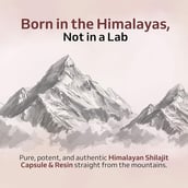 3 - Purely Yours Ashwa Vigour Himalayan Shilajit 60 Capsules with Shilajit Resin Combo,  20 g 