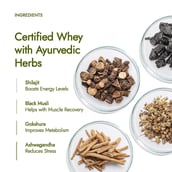 5 - Kapiva Him Foods Testofuel Shilajit Whey Protein, 2 lb Belgian Chocolate