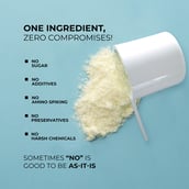 8 - AS-IT-IS Nutrition Whey Protein Concentrate 80%,  25 sachets/pack  Unflavoured 