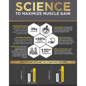 6 - MuscleBlaze Biozyme Gold 100% Whey,  4.4 lb  Chocolate Hazelnut