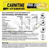 3 - White Wolf L-Carnitine with Vitamin B5, 450 ml Citrus Lemon