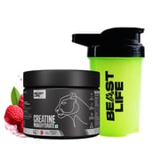1 - BeastLife Creatine Monohydrate, Litchi & Neon Shaker 500ml 0.27 lb
