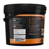 2 - BeastLife Anabolic Mass Gainer, 11 lb Belgian Chocolate