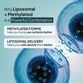 6 - Miduty Liposomal B-Complex, Unflavoured 60 capsules