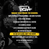 4 - Mutant Hardcore BCAA, 0.859 lb 30 Servings Fruit Punch