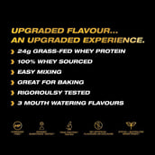 8 - PVL Whey Gold, 4 lb Triple Chocolate Brownie Overload